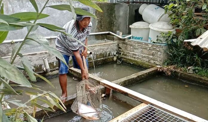 Program Dayahpreneur AMANAH Aceh untuk Mempersiapkan Generasi Muda Menghadapi Dunia Kerja