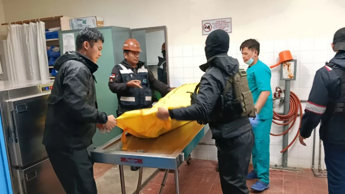 Serangan Brutal OPM di Mimika Kembali Ganggu Keamanan Warga Sipil Papua Tengah